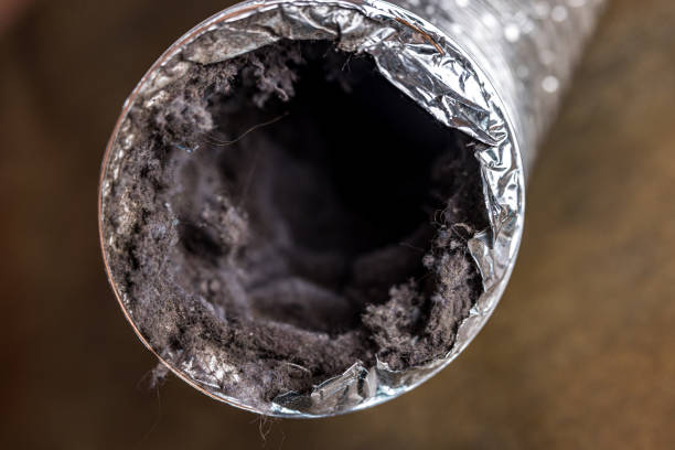 Best Affordable HVAC Duct Cleaning  in Colonia, NJ